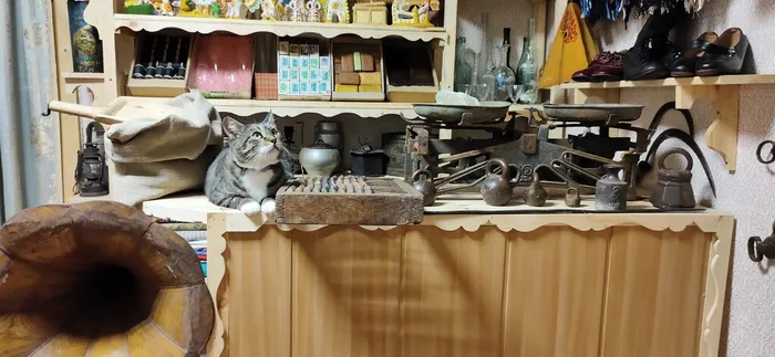 Экспонаты зала развитие торговли